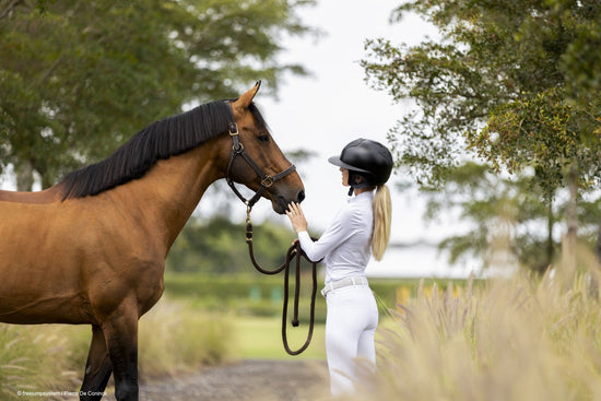 The Ultimate Guide to Clipping your Horse