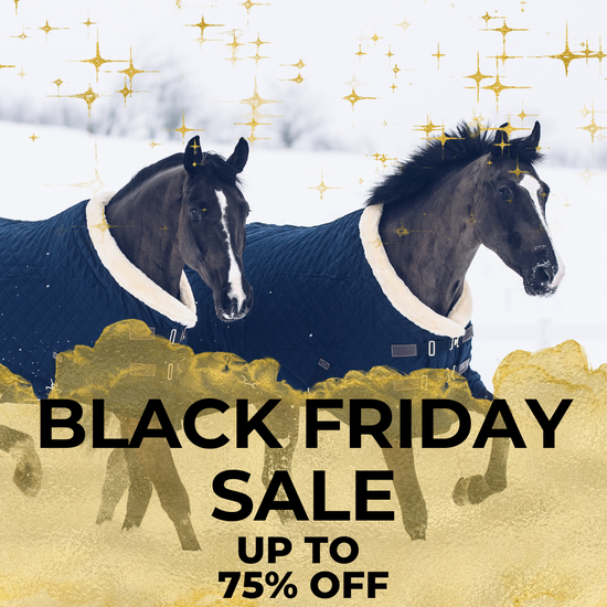 Black Friday Equestrian Sale