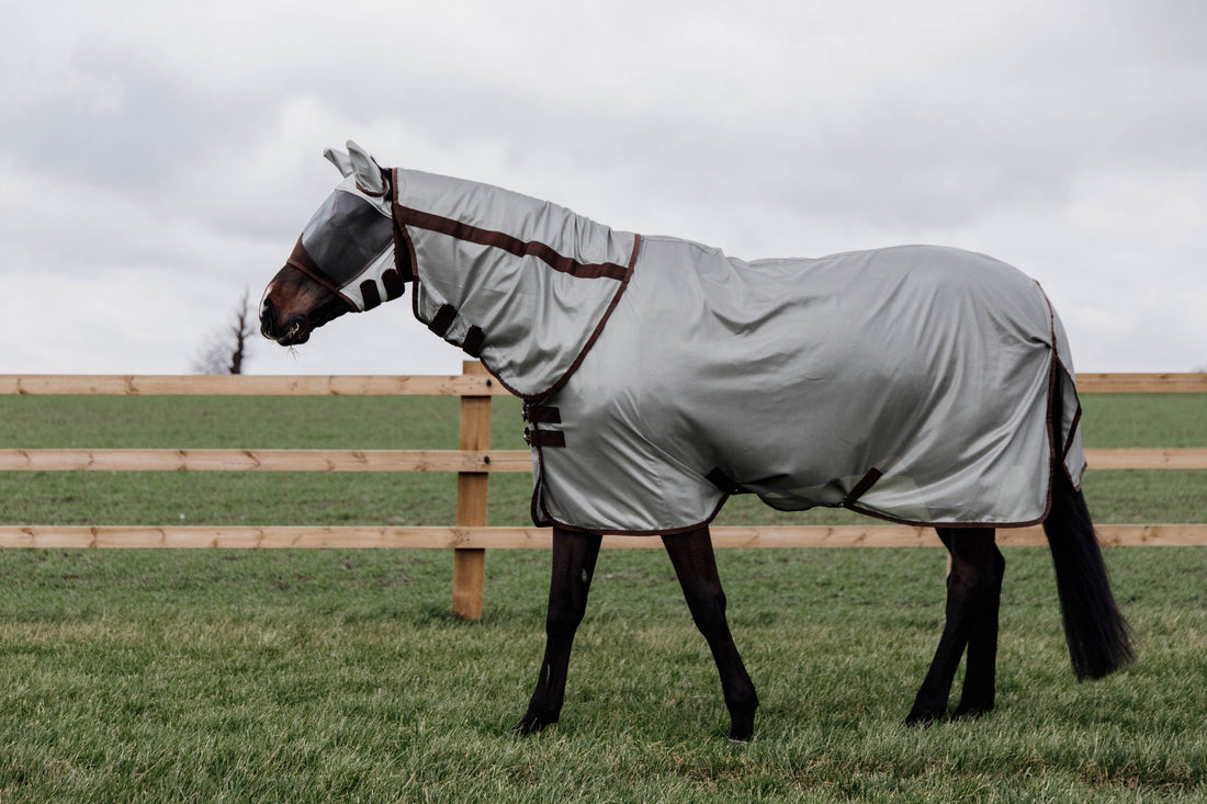 Summer Turnout & Riding with Flies: The Ultimate Guide to Fly Protection for Horses