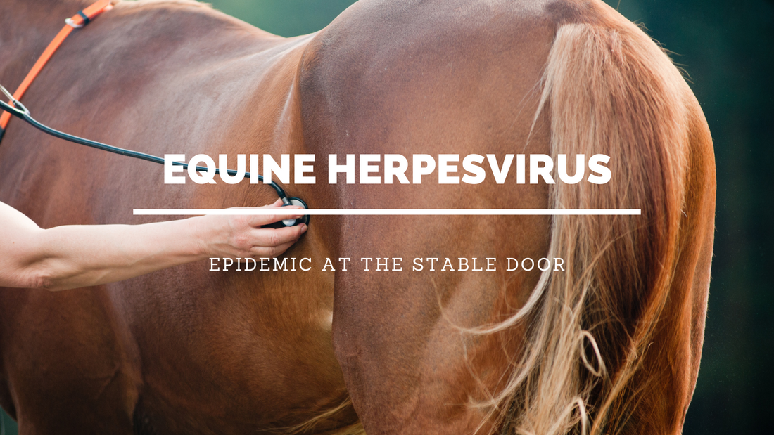 Equine Herpesvirus - Cancellation of all Events in mainland Europe due to EHV-1