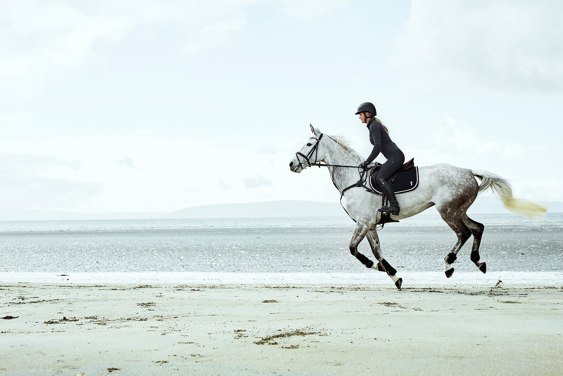 Your world wide equestrian store - leading brands part one