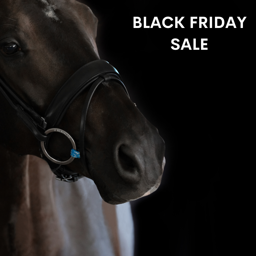 Black Friday - are you ready for the best equestrian Black Friday deals & discounts?