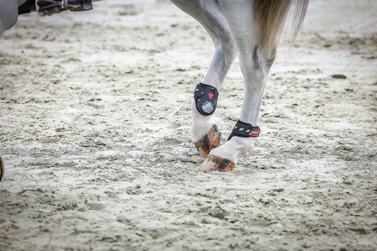 FEI 2024 Show Jumping Hind Boot Rules