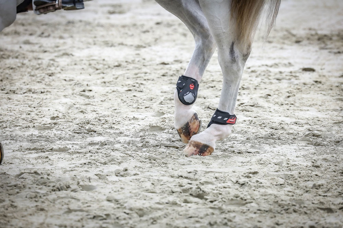FEI 2024 Show Jumping Hind Boot Rules – EquiZone Online