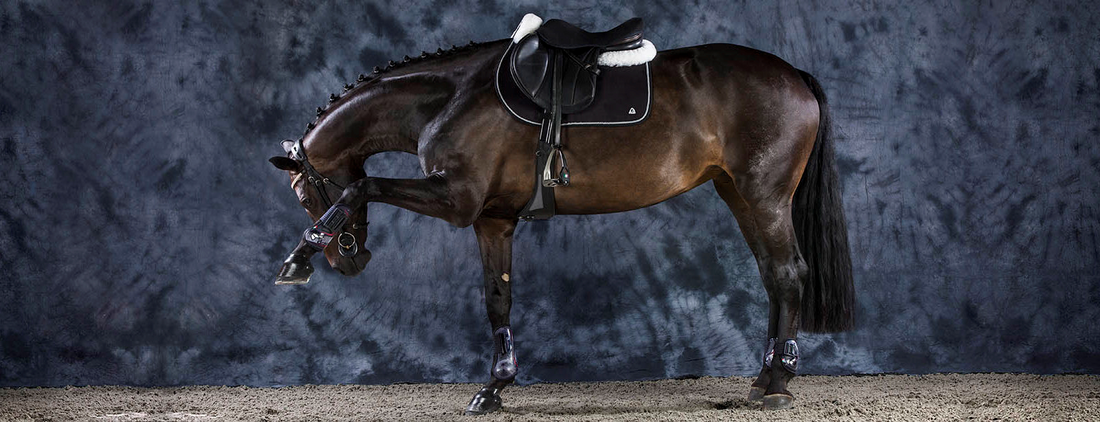 Your world wide equestrian store -  leading brands part 2