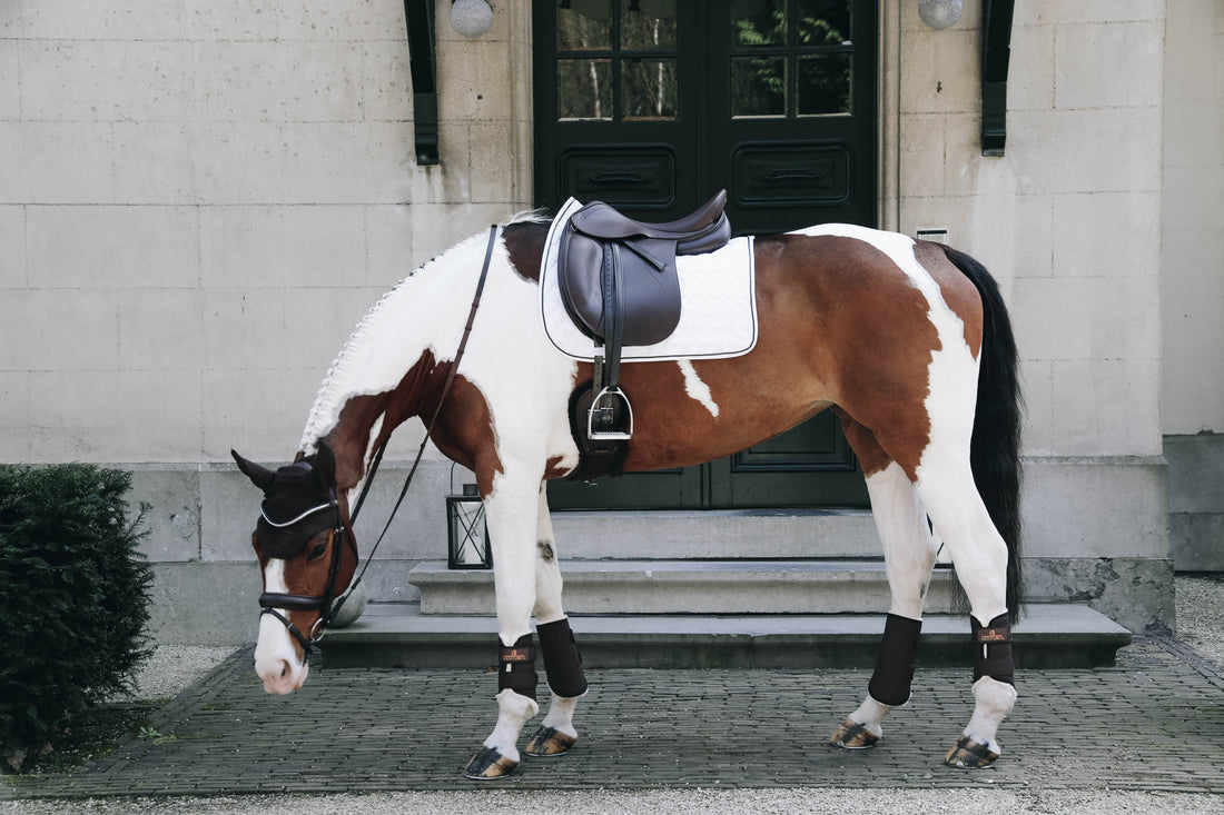 How to get the perfect dressage competition look