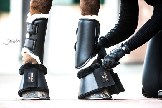 Leg protection for horses