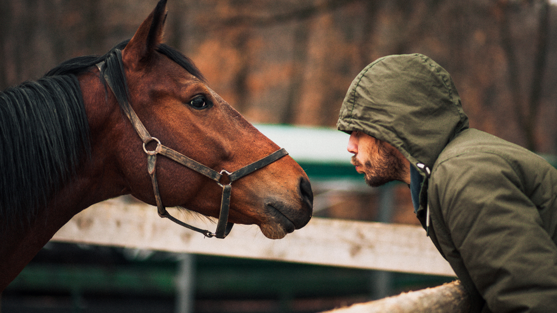Valentines Day Special - 10 Tips on Dating an Equestrian