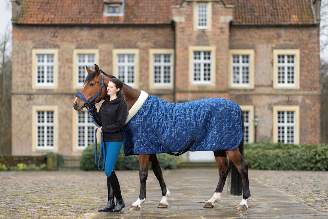 Riding Leggings Port Royal with Full Silicone Seat – EquiZone Online