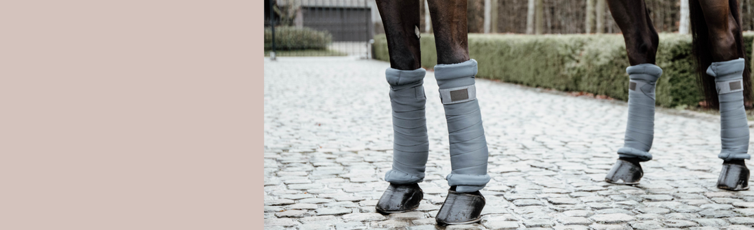 Stable Boots & Bandages