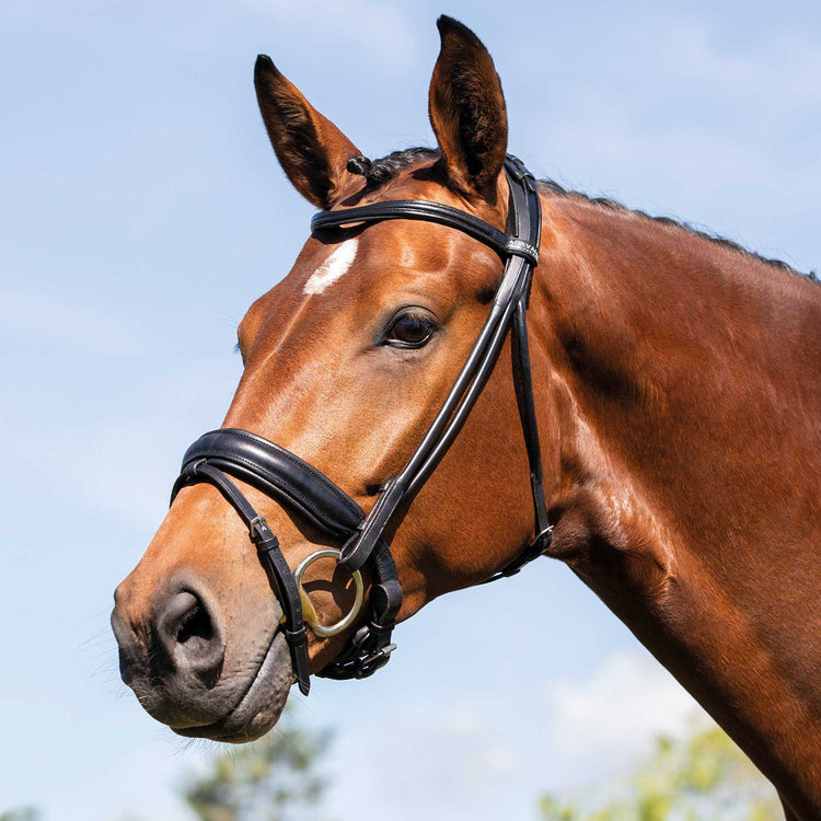 Rolled Leather Dressage Bridle