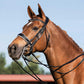 Dressage double bridle with white padding