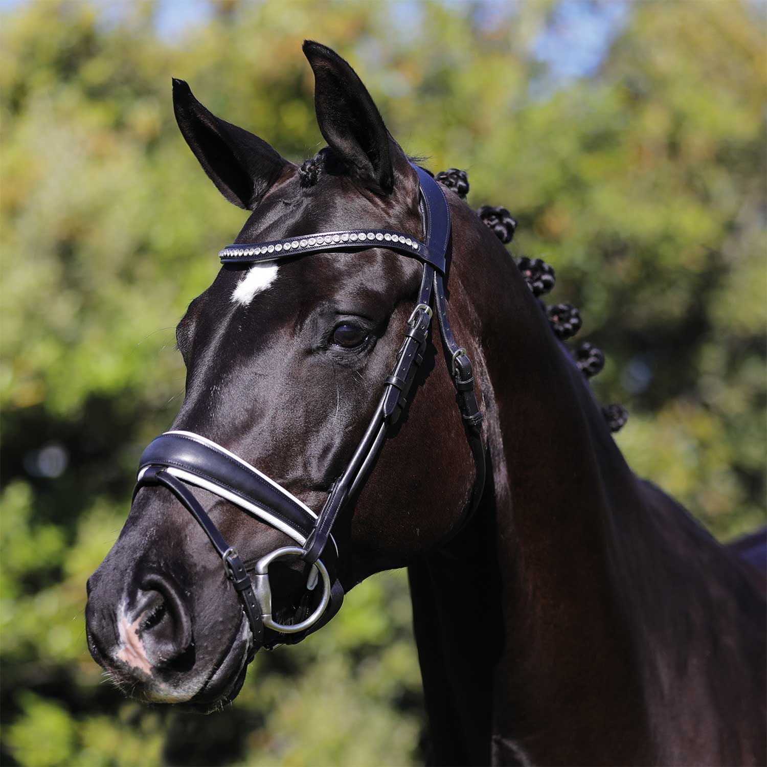 Acavallo Rolled Leather Bridle
