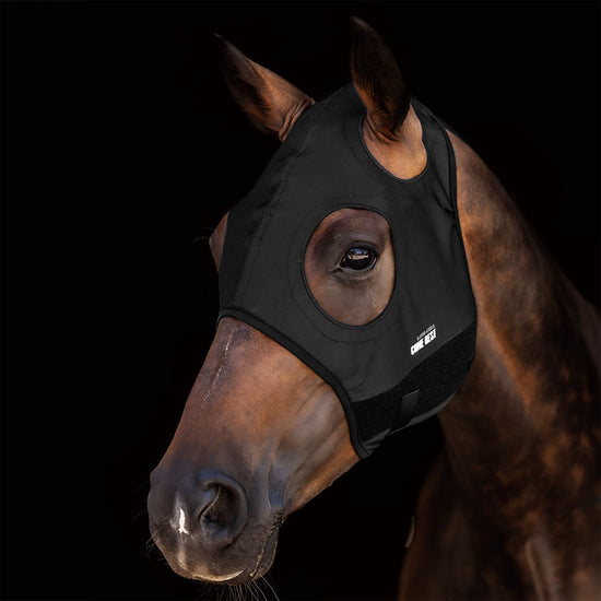 titanium mask to calm the horse down