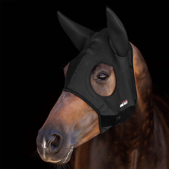 horse titanium mask reduce stress