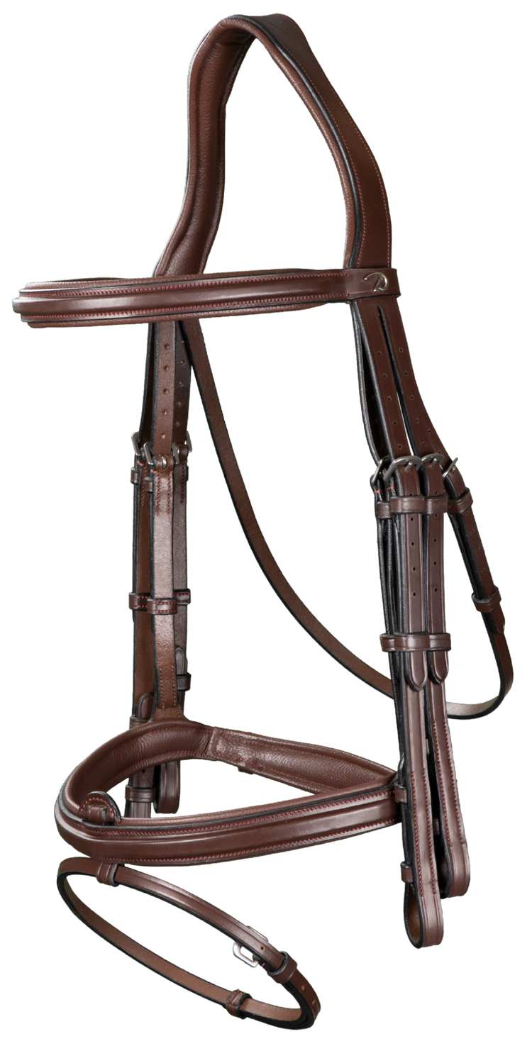 Show jumping double bridle 