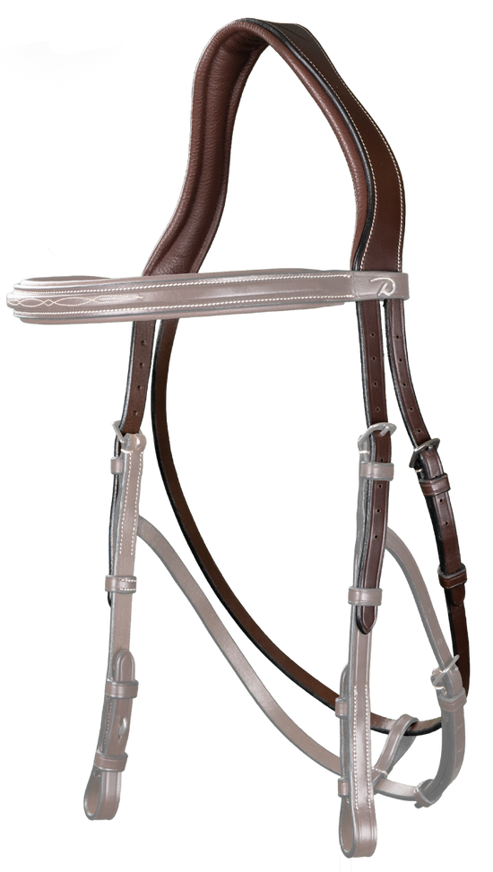 hackamore bridle