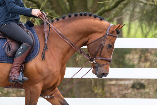 leather nylon draw reins
