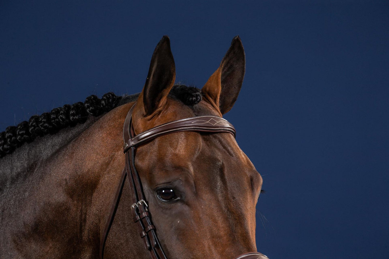 Browband Button with Button Closure – EquiZone Online