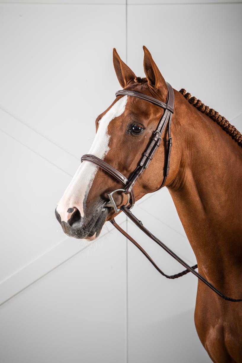 classic cavesson bridle