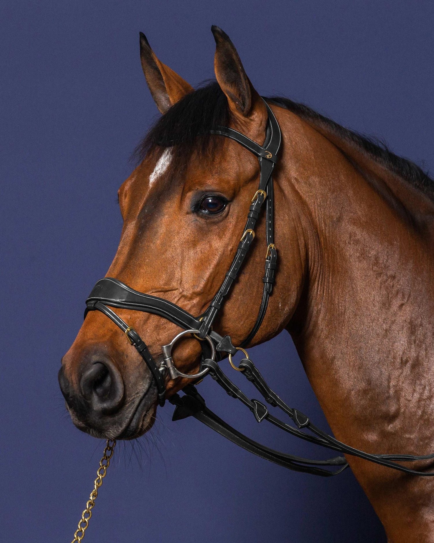 how does a side pull bridle work