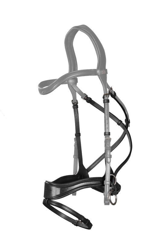 D motion noseband