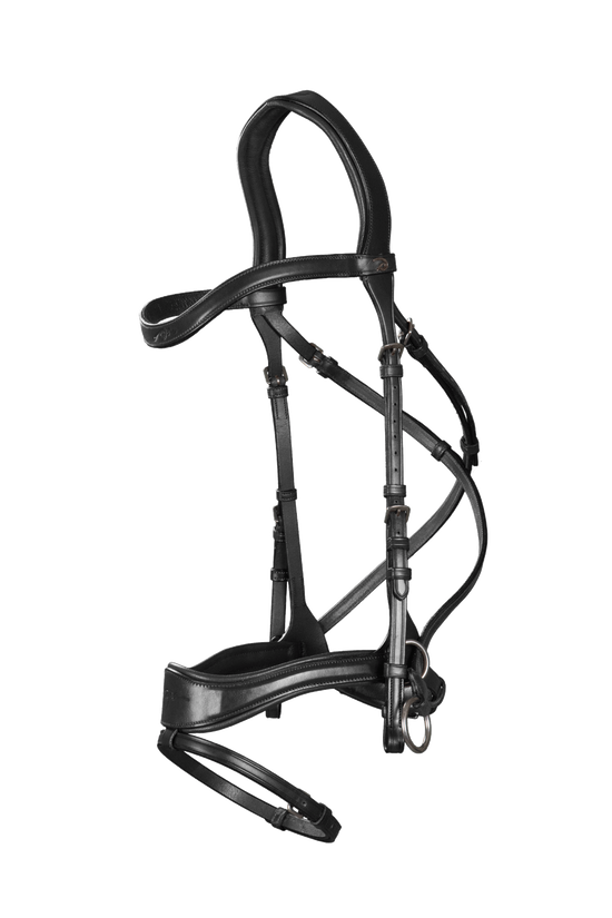 Side pull bridle with bit