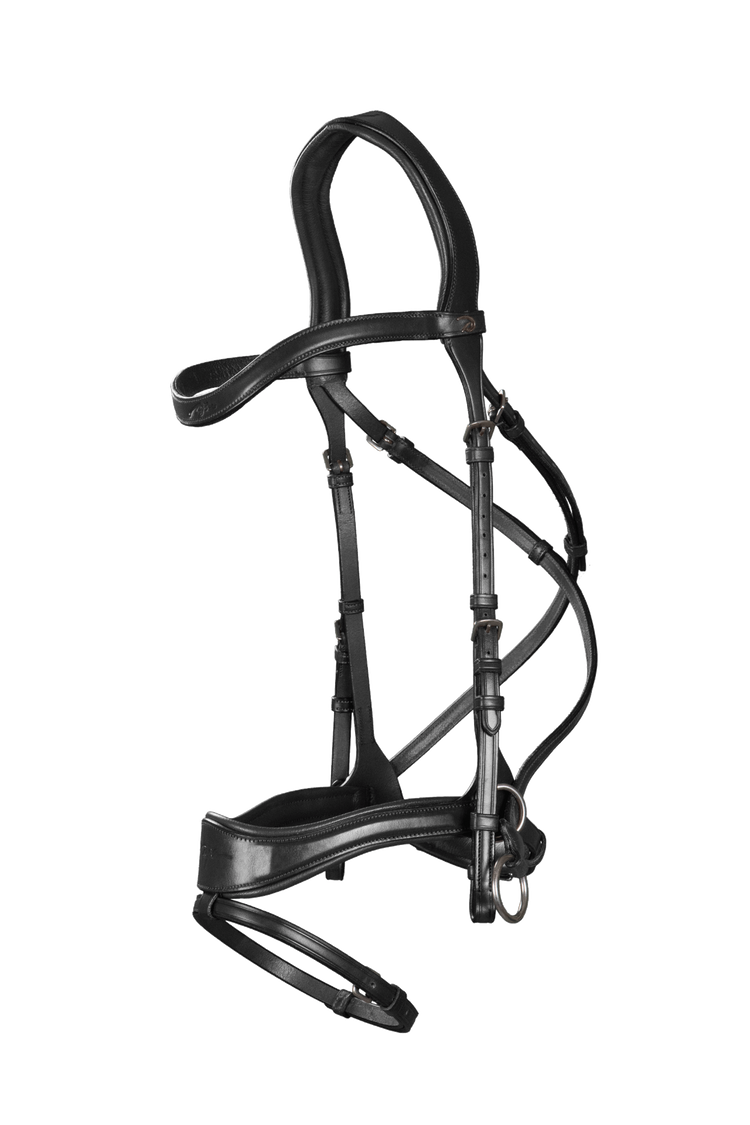 Side pull bridle with bit