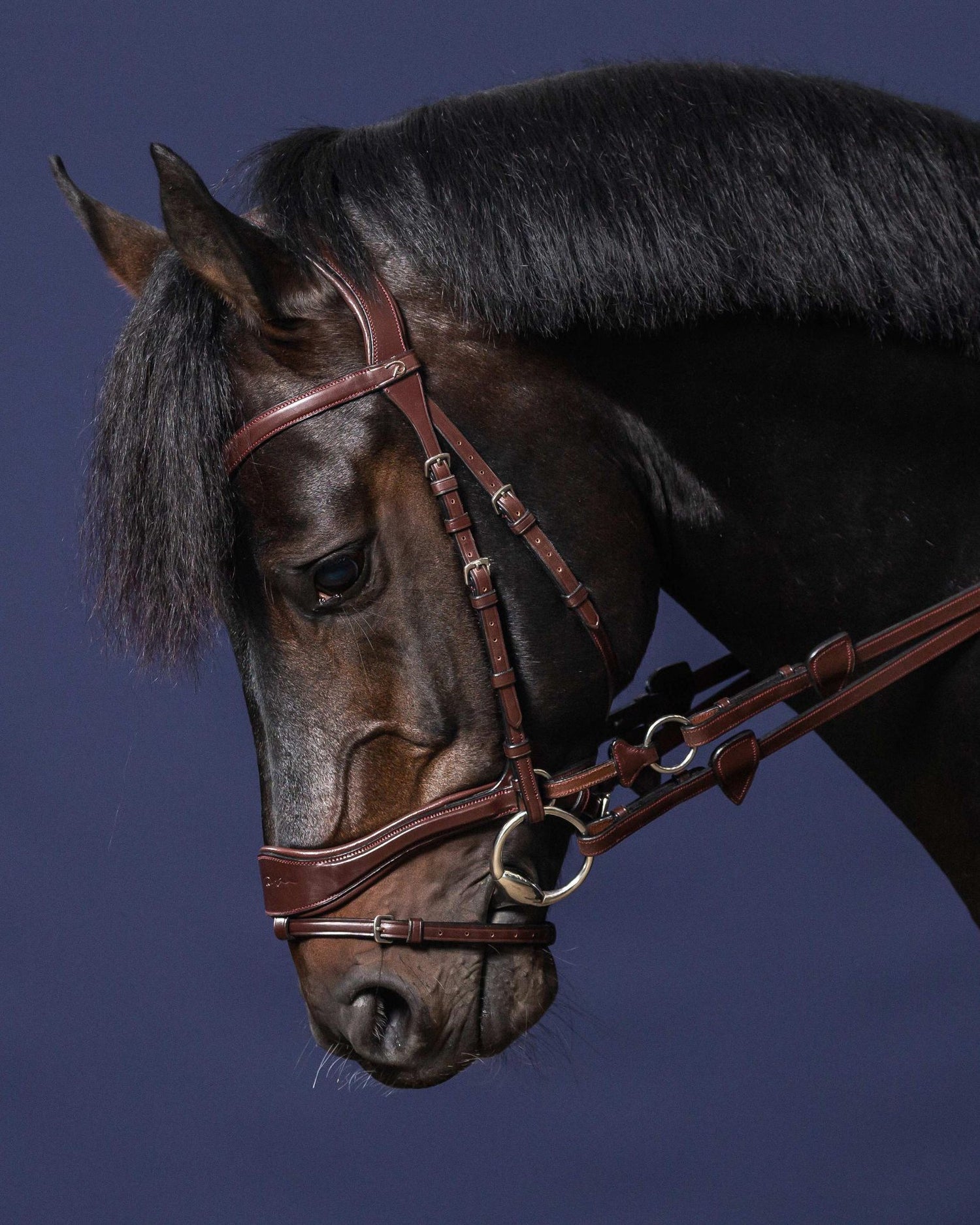 Convertible bridle to bitless