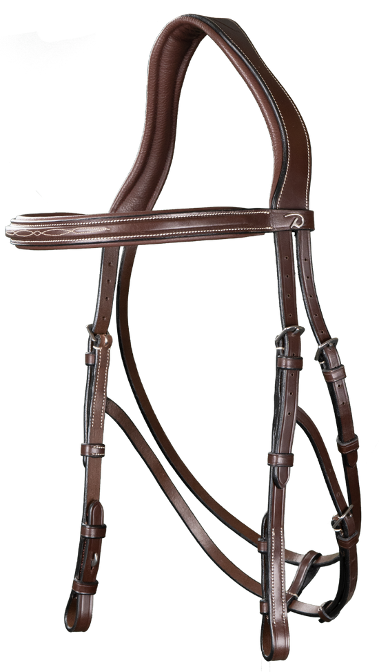 hackamore bridle