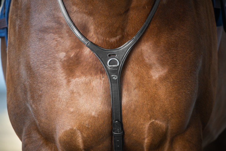 Martingale with removable attachments