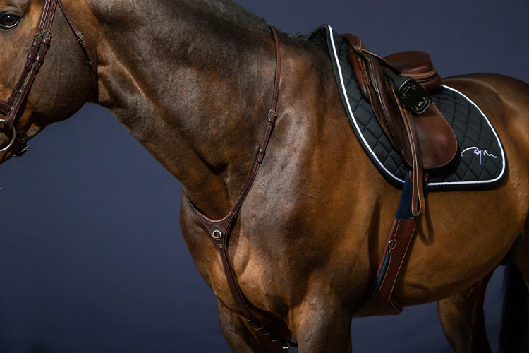 Horse martingale with removable attachments