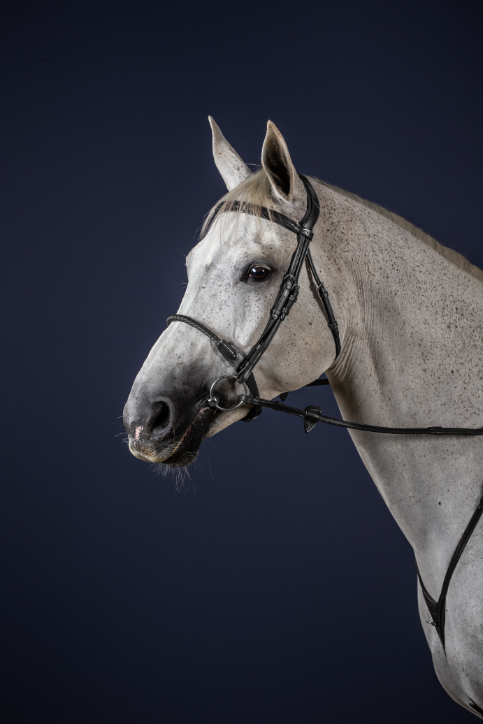 Legal Rope Noseband Bridle for show jumping
