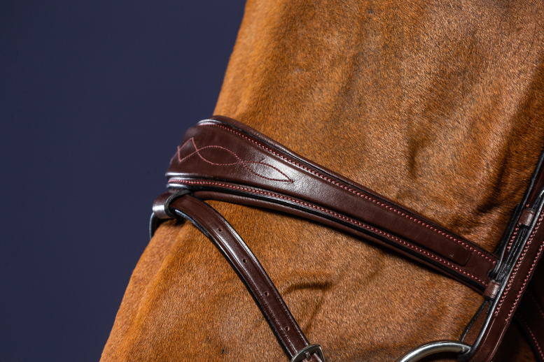 high quality leather bridle