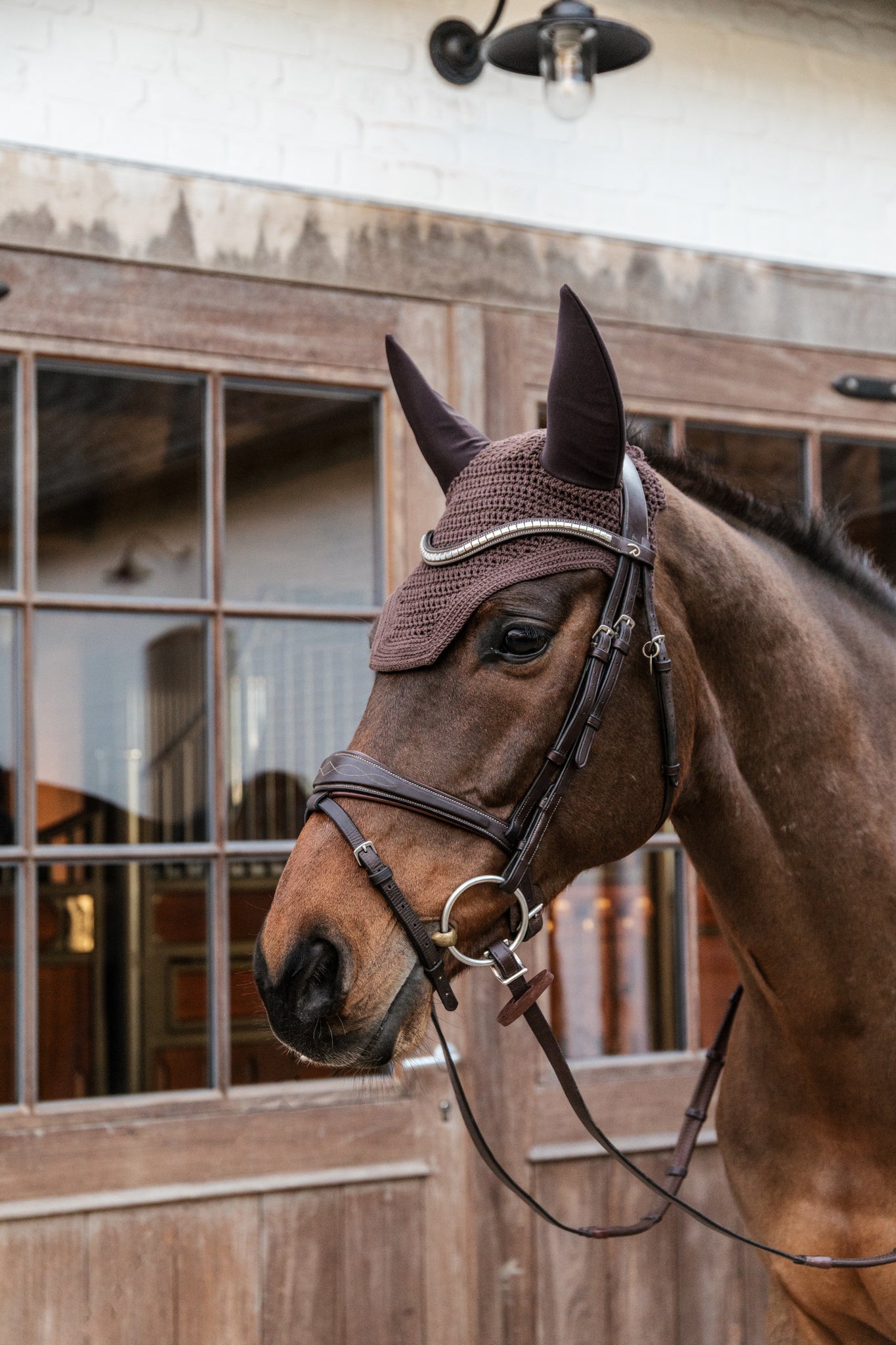 Fly Veil Wellington – EquiZone Online