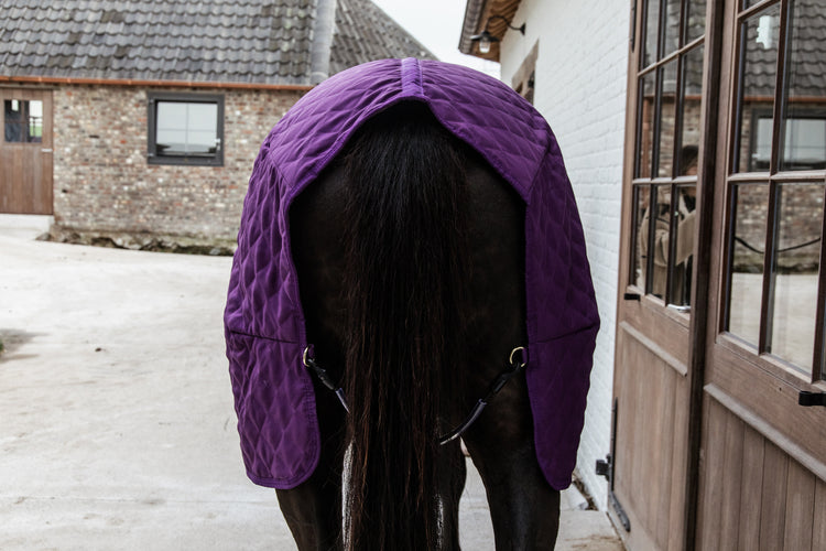 Purple Horse Blankets
