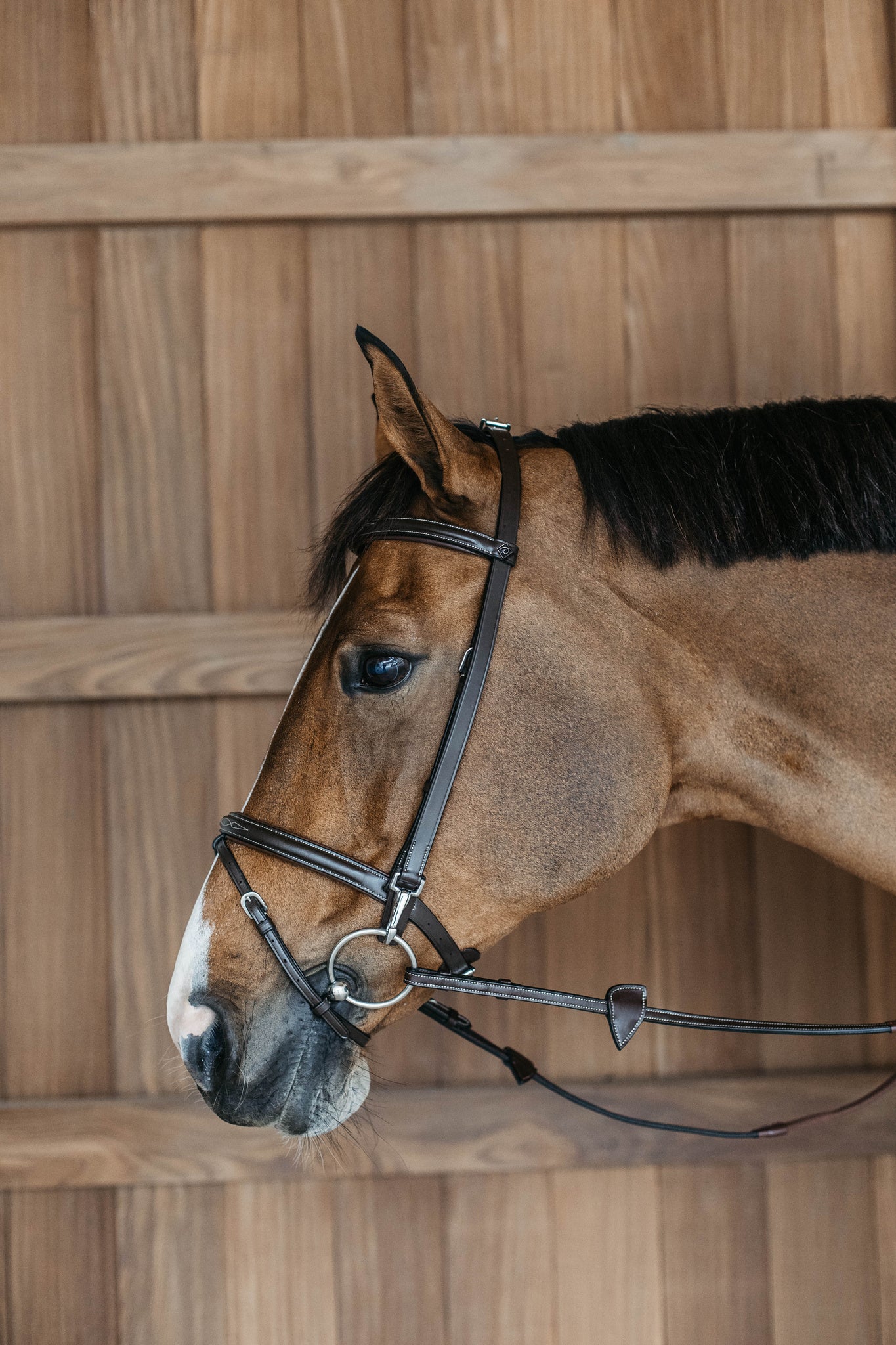Best leather training bridle