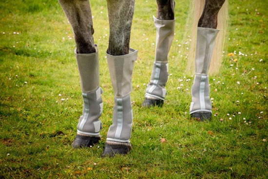 Horse Tech-Fit Fly Boots