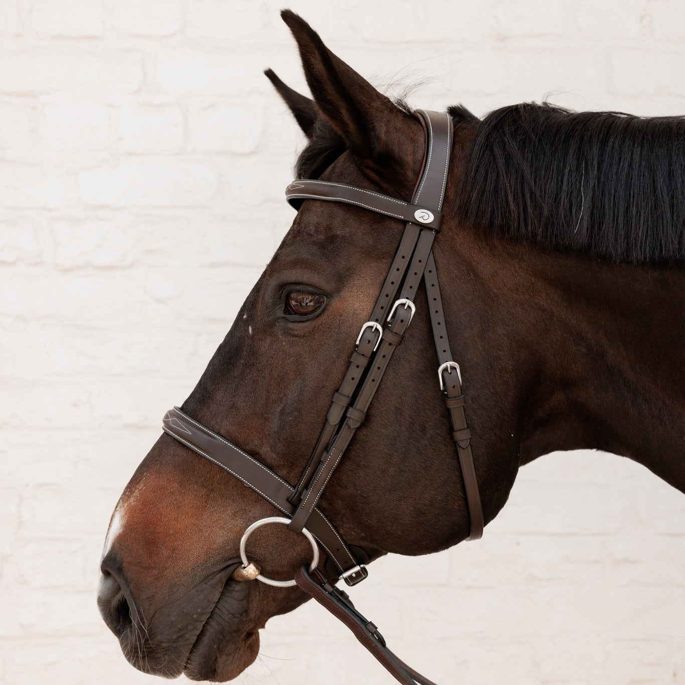 Affordable hunter bridle with fancy stitching in brown