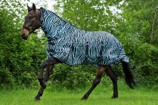 Zebra striped fly sheet for horses