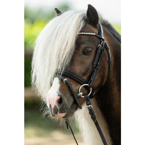 Shetland Pony Leather Bridle