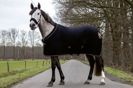 Luxury cooler blanket for horses