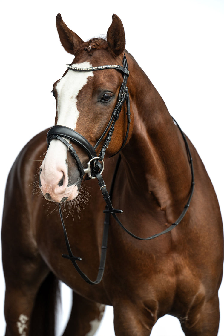 Affordable horse bridle for dressage