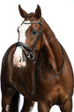 Affordable horse bridle for dressage