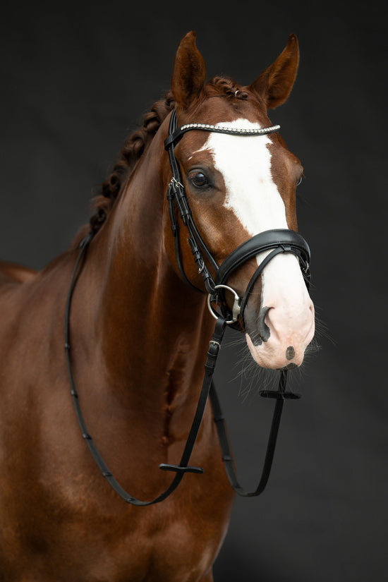 Cheap leather dressage bridle