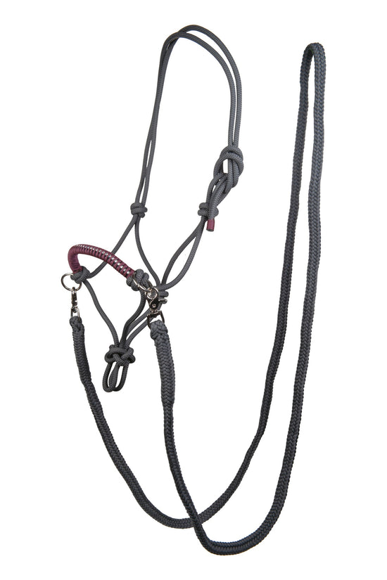 rope halter