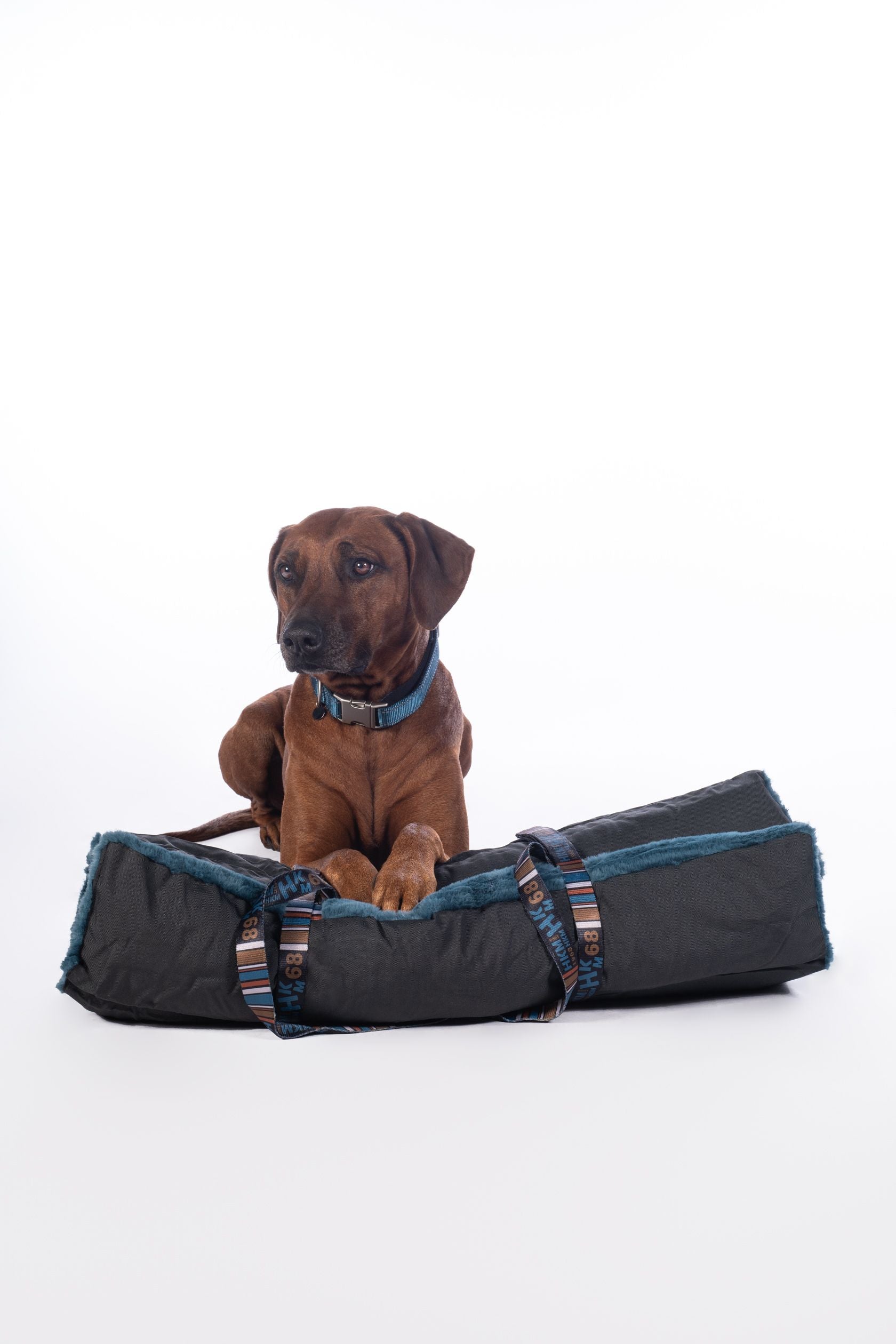 Dog discount travel blanket