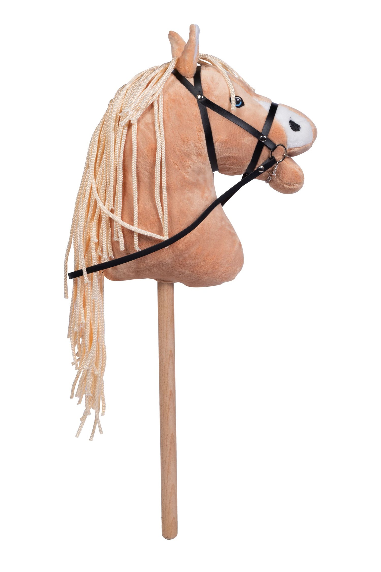 Hobby Horse Photos and Images