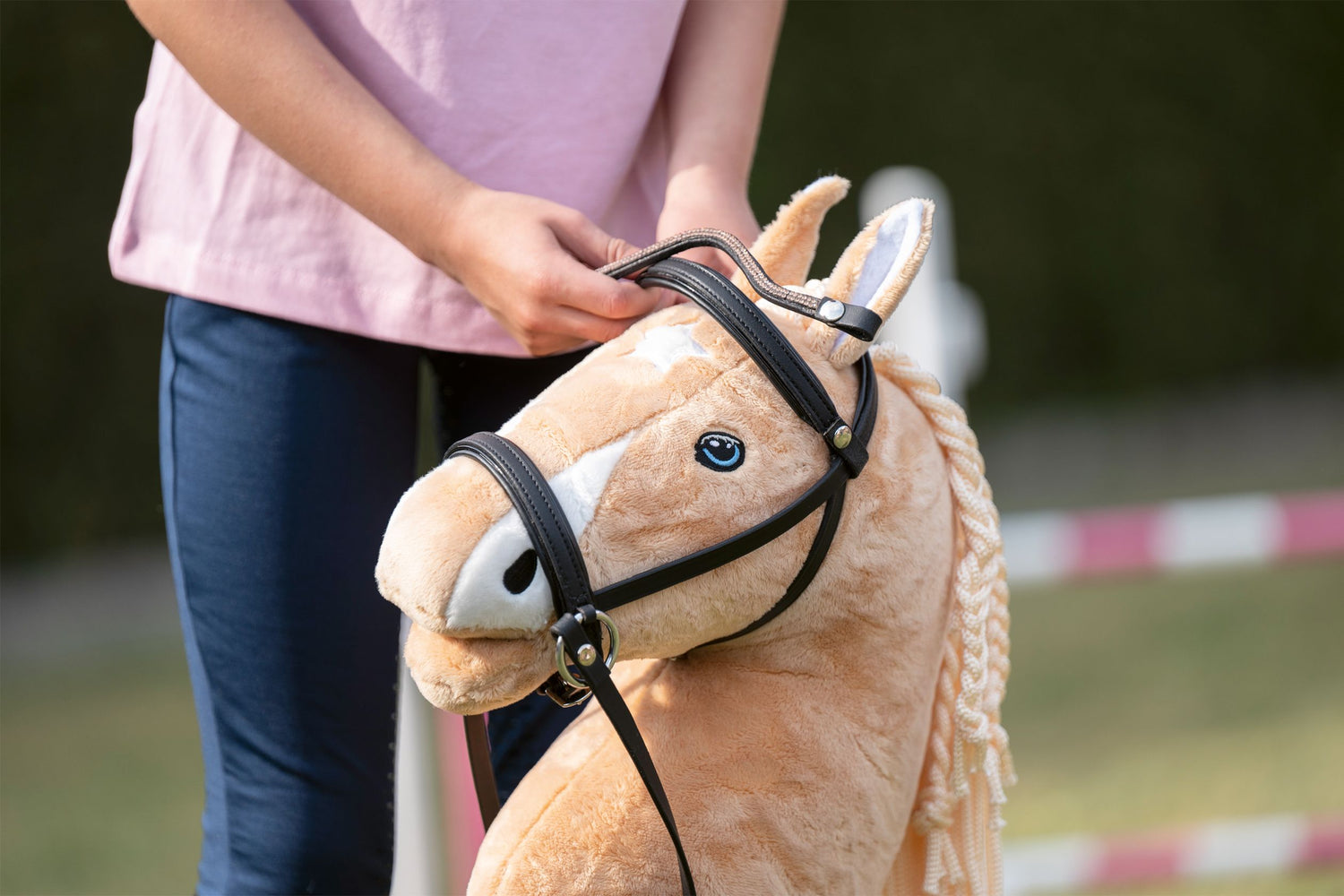 Hobby Horse – EquiZone Online
