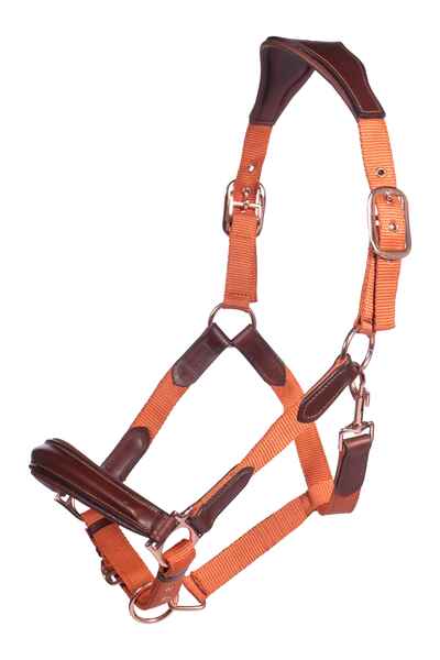 Leather head collar for horses with orange